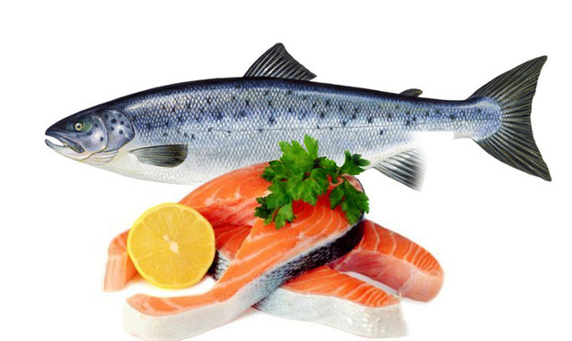 Những lợi ích sức khỏe không ngờ của hải sản