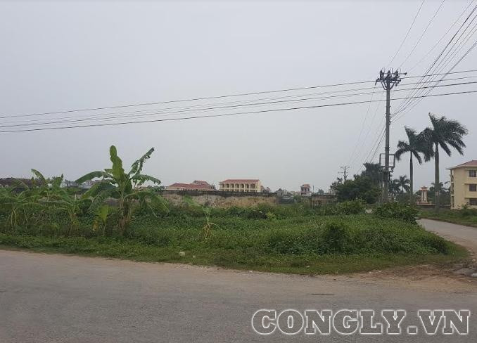 Huyện Kiến Thụy TP. Hải Phòng: Mua đất hơn 10 năm vẫn chưa được giao