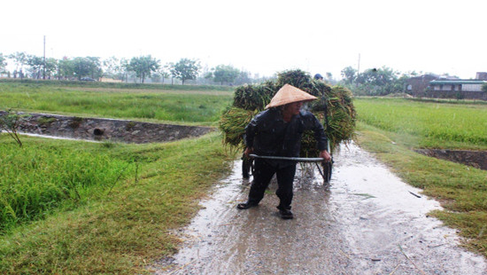 Hà Tĩnh: Người dân chủ động phòng chống bão số 10