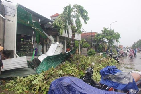 TT-Huế: Hàng trăm ngôi nhà tốc mái, cây cối đổ hàng loạt sau lốc xoáy