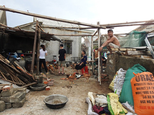 Hà Tĩnh: Huyện Cẩm Xuyên tan hoang sau bão
