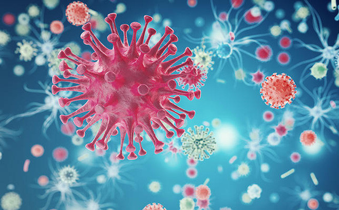 Phát hiện kháng thể mới tiêu diệt được 99% virus HIV