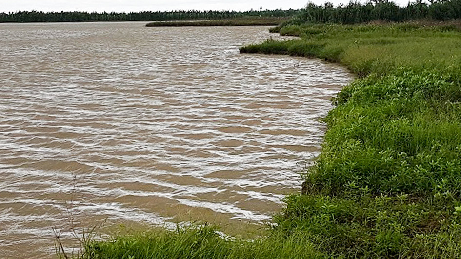 Huyện Vĩnh Bảo-Hải Phòng: Nghi vấn cán bộ tổ chức bán ruộng ngoài bãi sông
