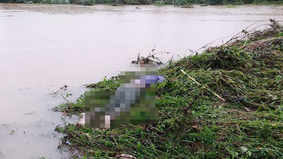 Nghệ An: Sau mưa, phát hiện hai thi thể bị nước cuốn trôi