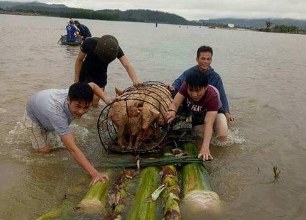 Thanh Hóa: Quyết tâm không để xảy ra dịch bệnh sau lũ