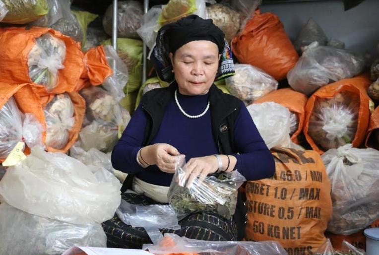 Gặp bệnh nhân ung thư thoát án tử nhờ bài thuốc nam gia truyền bà Quynh