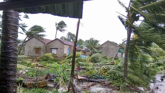 Thiệt hại sau bão số 12: 49 người chết và mất tích, gần 5000 ha lúa bị ngập