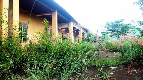 Gia Lai: Số liệu 245 phòng học bị bỏ hoang có thực tế?