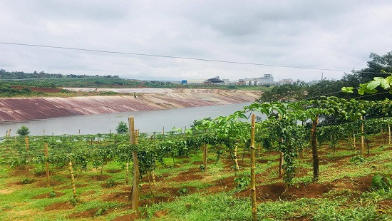 Đắk Nông: Xuất hiện nhiều vết nứt trên đất rẫy của người dân sát với hồ bùn đỏ