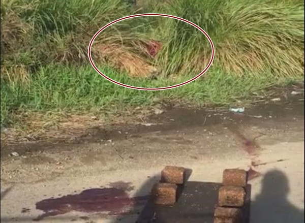 Người đàn ông bị sát hại vứt xác ở bãi cỏ ven đường