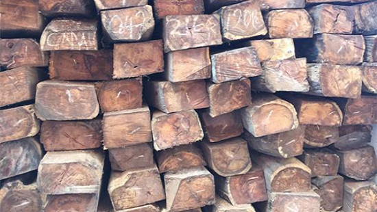 Khởi tố vụ buôn lậu gần 40m3 gỗ hương quý hiếm