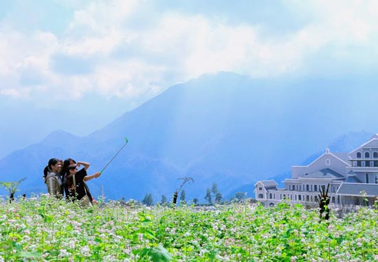 Sắc xanh đang lan tỏa ở nhiều khu du lịch Việt