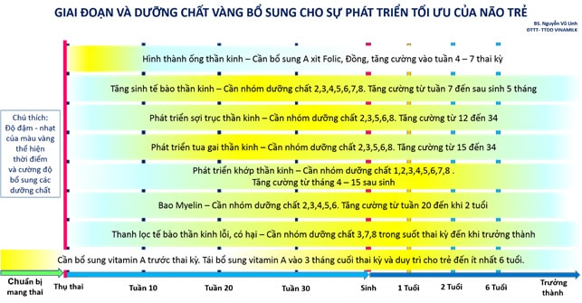 Dinh dưỡng vàng phát triển tối ưu não bộ trong những năm tháng đầu đời