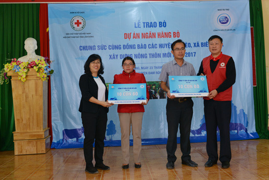 Cô gái Hà Lan trao tặng 80 con bò cho nông dân nghèo tỉnh Lâm Đồng