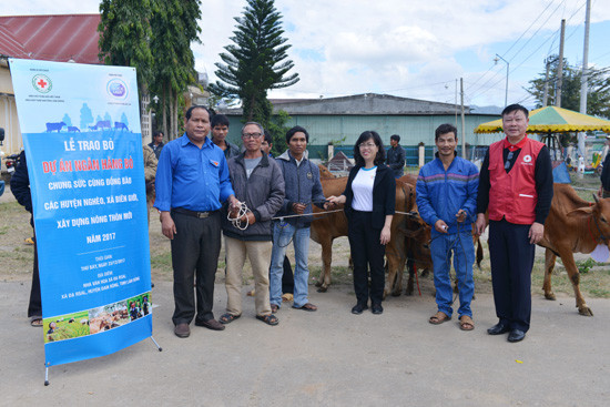 Cô gái Hà Lan trao tặng 80 con bò cho nông dân nghèo tỉnh Lâm Đồng