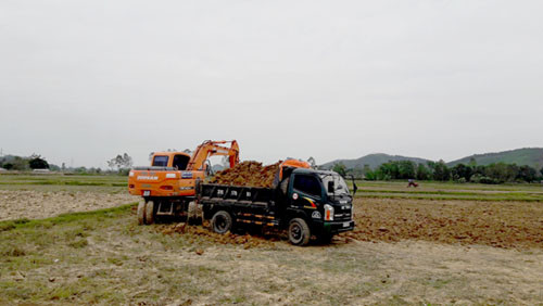 Nghệ An: Lợi dụng cải tạo ruộng để bán đất nông nghiệp trục lợi