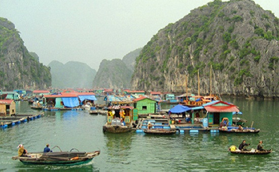 Quảng Ninh: Ngăn chặn tình trạng 