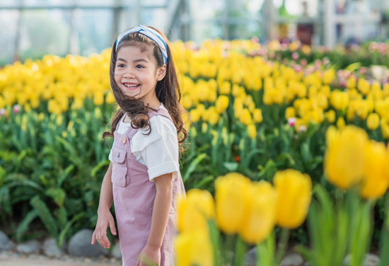 Ra mắt Lễ hội hoa tulip lớn nhất Việt Nam tại Vinpearl Nha Trang