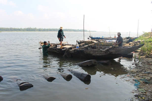 Lâm tặc đánh chìm hàng chục phách gỗ lậu xuống sông phi tang