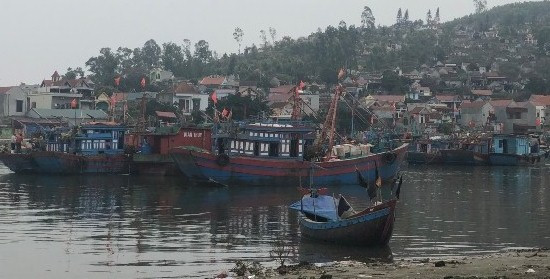 Thanh Hóa: Xử lý nạo vét khẩn cấp Cảng Lạch Bạng 