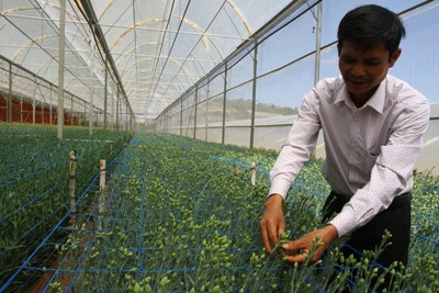 Agribank Lâm Đồng: Làm tốt vai trò đầu tư cho nông nghiệp, nông thôn
