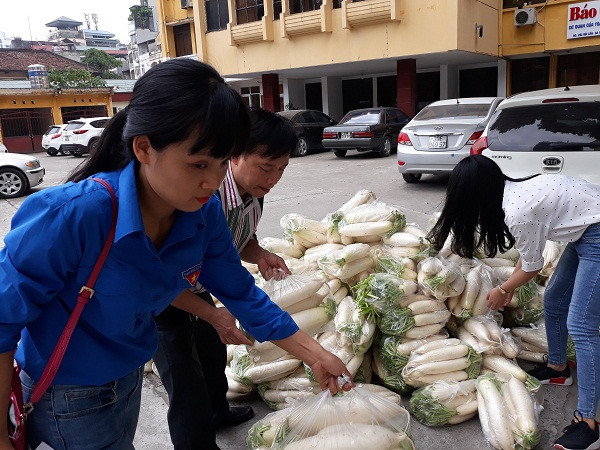 Đoàn Thanh niên TANDTC chung tay “giải cứu”  củ cải giúp nông dân xã Tráng Việt