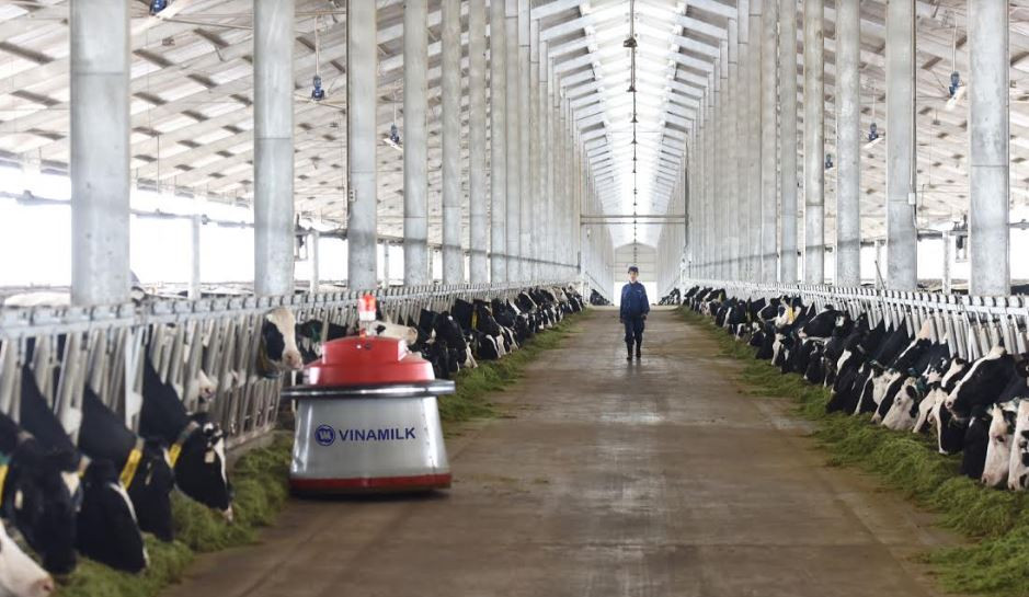 Khánh thành Trang trại số 1 Tổ hợp trang trại bò sữa công nghệ cao Vinamilk tại Thanh Hóa