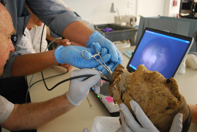 Các nhà khoa học FBI trích xuất ADN từ răng của đầu xác ướp. Ảnh: NY Times
