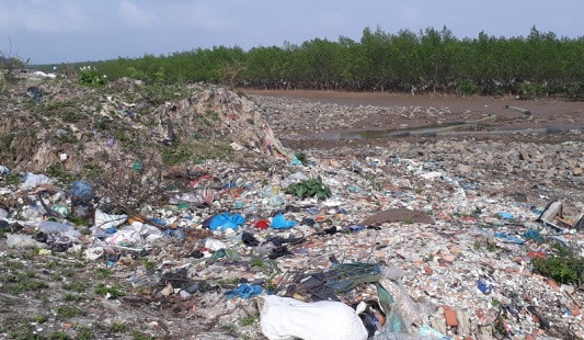 Thanh Hóa: Rừng phòng hộ ven biển bị rác bủa vây