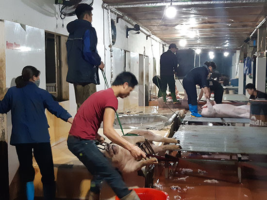 100% thịt lợn tại chợ Nghệ (Sơn Tây) không có dấu hiệu kiểm dịch