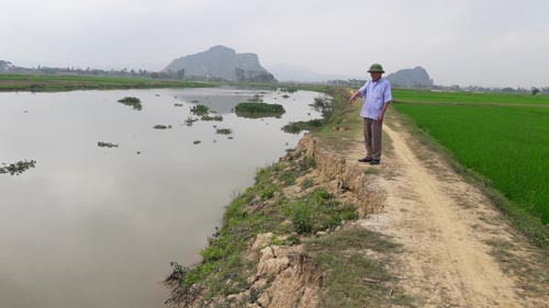 Sạt lở Đê Sông Bùng (Nghệ An): Đừng để “mất bò mới lo làm chuồng