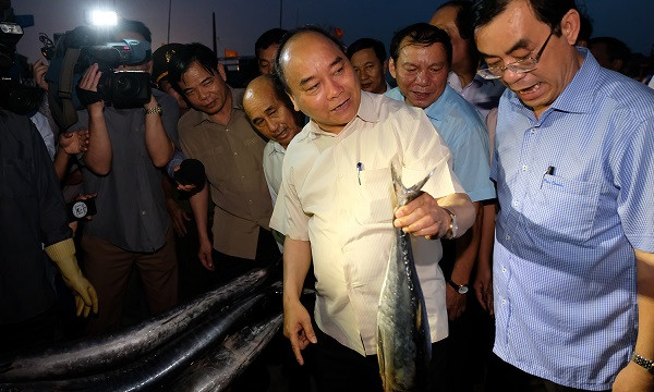 Thủ tướng làm việc tại miền Trung về tình hình khắc phục sự cố môi trường biển