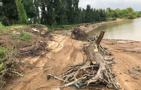 Khai thác cát trái phép trên sông Mã gây sạt lở nghiêm trọng