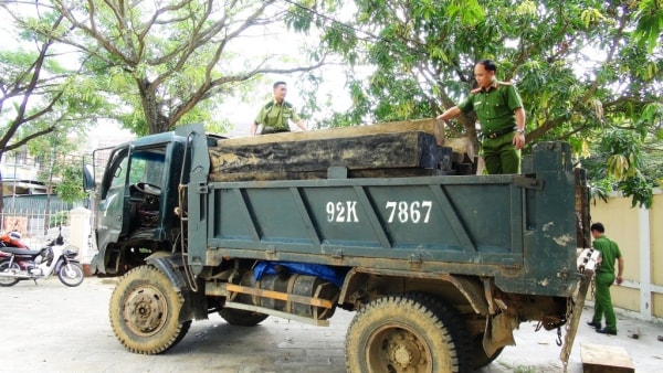 Bắt xe tải vận chuyển gỗ lậu trong đêm