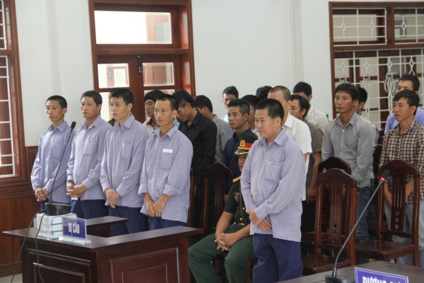  Mở lại phiên toà xét xử vụ phá rừng pơ mu ở Quảng Nam