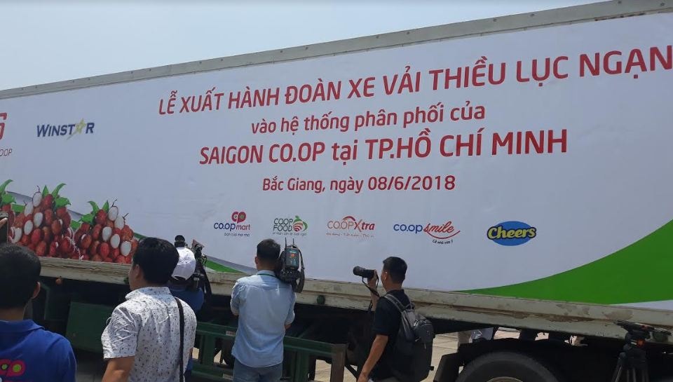 Saigon Co.op cam kết tiêu thụ 400 tấn vải thiều