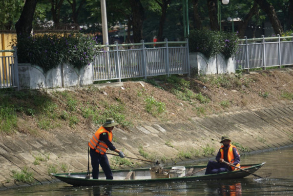  Xuất hiện cá chết trên sông Phú Lộc, kéo dài gần 1km