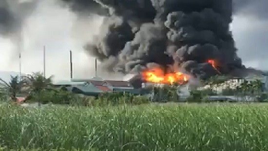 Cháy lớn tại công ty nhựa thông ở Quảng Ninh