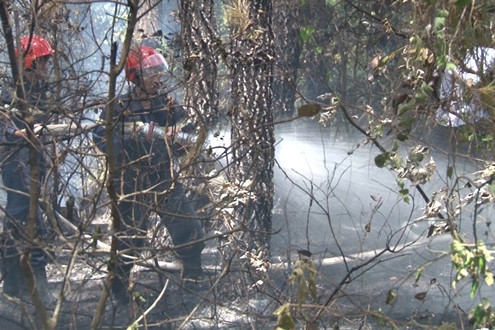 Huế: Huy động lực lượng dập tắt đám cháy rừng thông