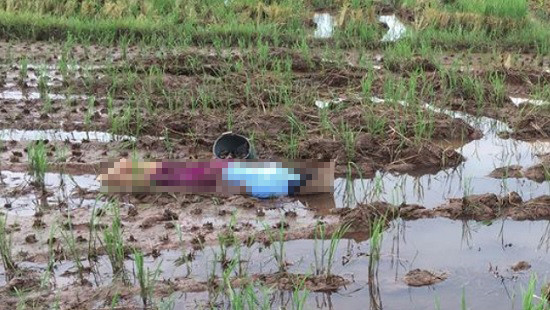Nam Định: Người phụ nữ bắt ốc tử vong giữa cánh đồng
