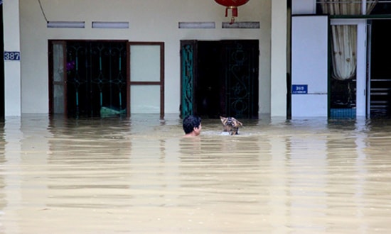 Những hình ảnh mưa lũ gây tang thương từ Hà Giang