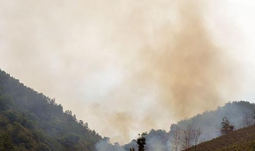 Người đàn ông bị lửa thiêu khi đang cố dập đám cháy rừng