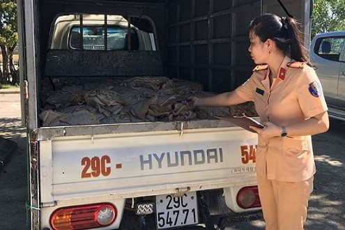 Thanh Hóa: Bắt giữ xe ô tô tải vận chuyển 1 tấn bì lợn thối không rõ nguồn gốc