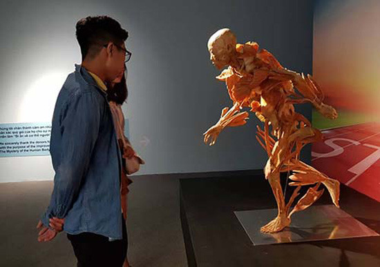 Triển lãm cơ thể người: Bộ Văn hóa yêu cầu báo cáo