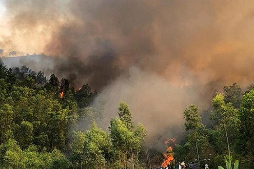 Thanh Hóa: Cháy rừng dữ dội, huy động gần 300 người dập lửa 