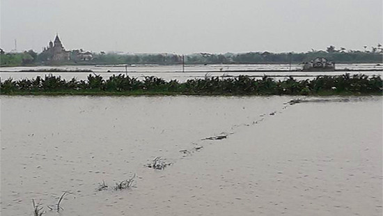 Nhiều tỉnh ven biển từ Nam Định đến Hà Tĩnh ngập sâu do mưa bão