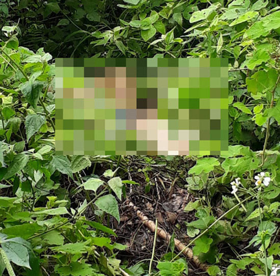Vụ người đàn ông chết trong rừng: Xác định được danh tính nạn nhân