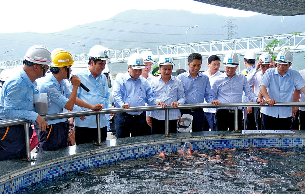 Thủ tướng: Formosa tuyệt đối không được vi phạm sự cố môi trường lần thứ hai