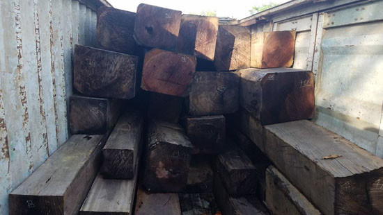 Vụ hơn 40m3 gỗ lậu tại huyện Kong Chro: Công an bắt tạm giam chủ gỗ