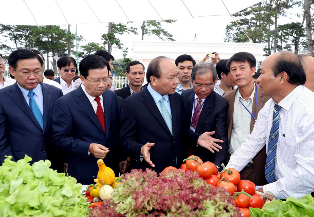 Thủ tướng: 10 năm tới, chế biến nông sản Việt Nam đứng vào tốp 10 thế giới